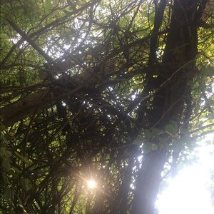 Meet your Posher, Chey